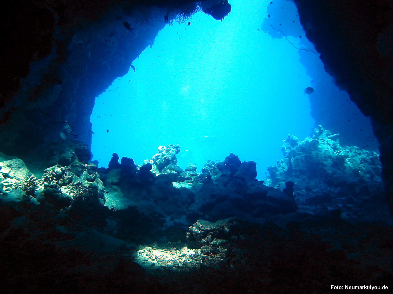 0525 Tauchsafari Ägypten 0906