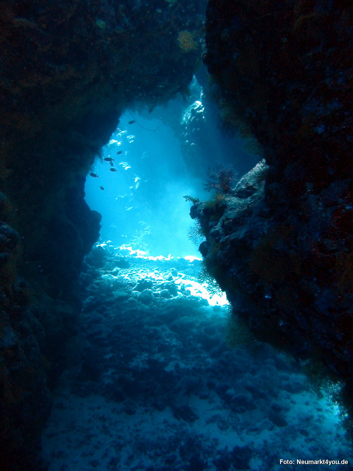 0545 Tauchsafari Ägypten 0906