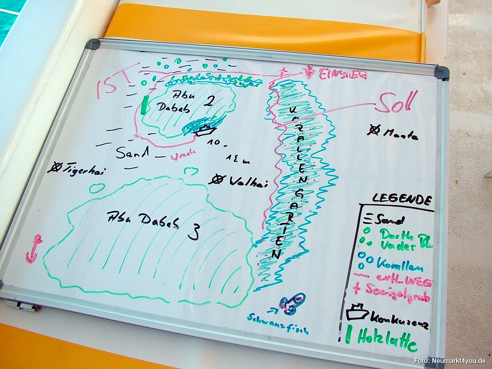 0770 Tauchsafari Ägypten 0906