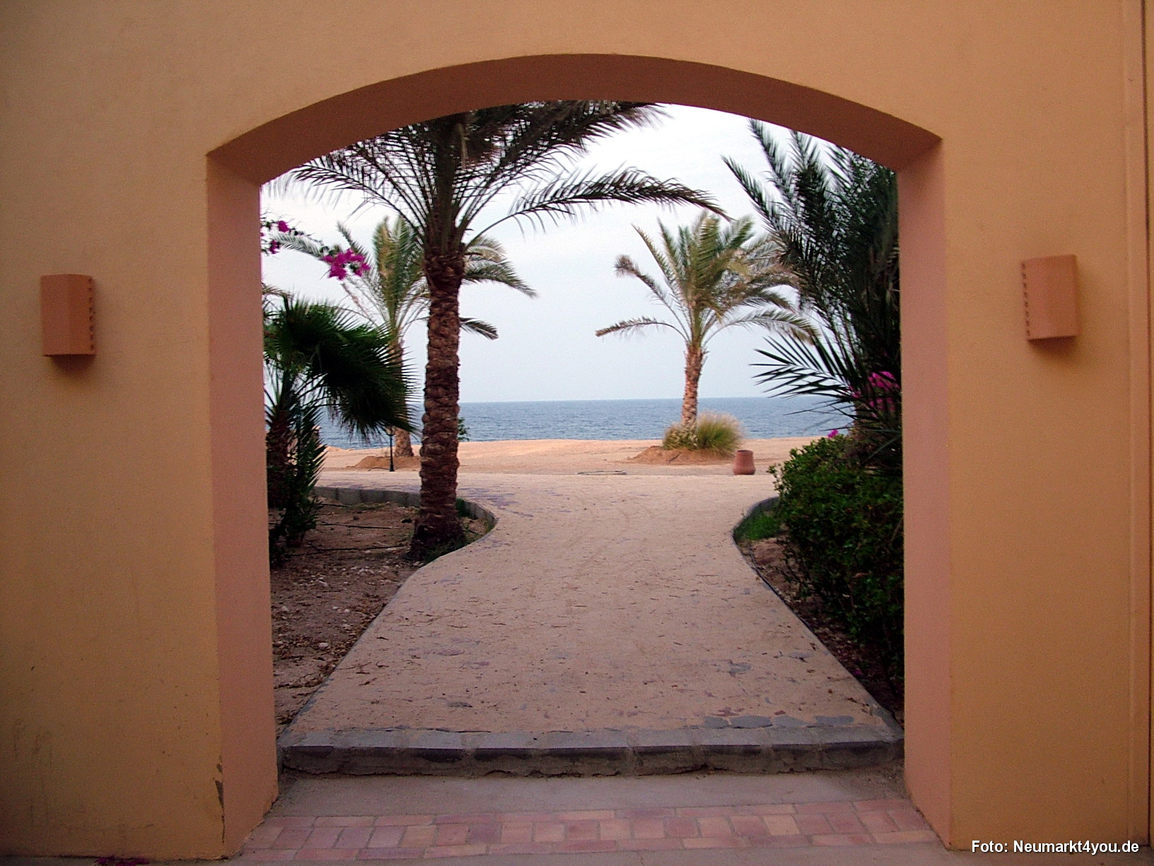 0985 Tauchsafari Ägypten 0906