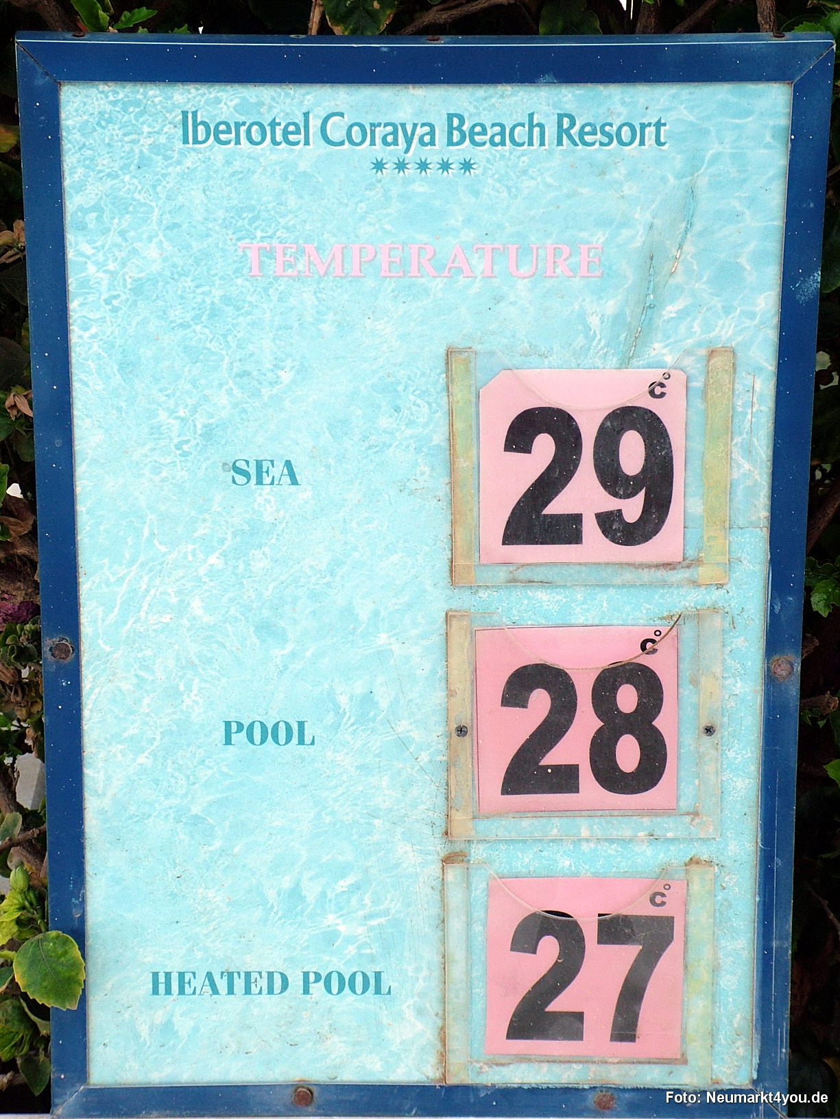 1035 Tauchsafari Ägypten 0906