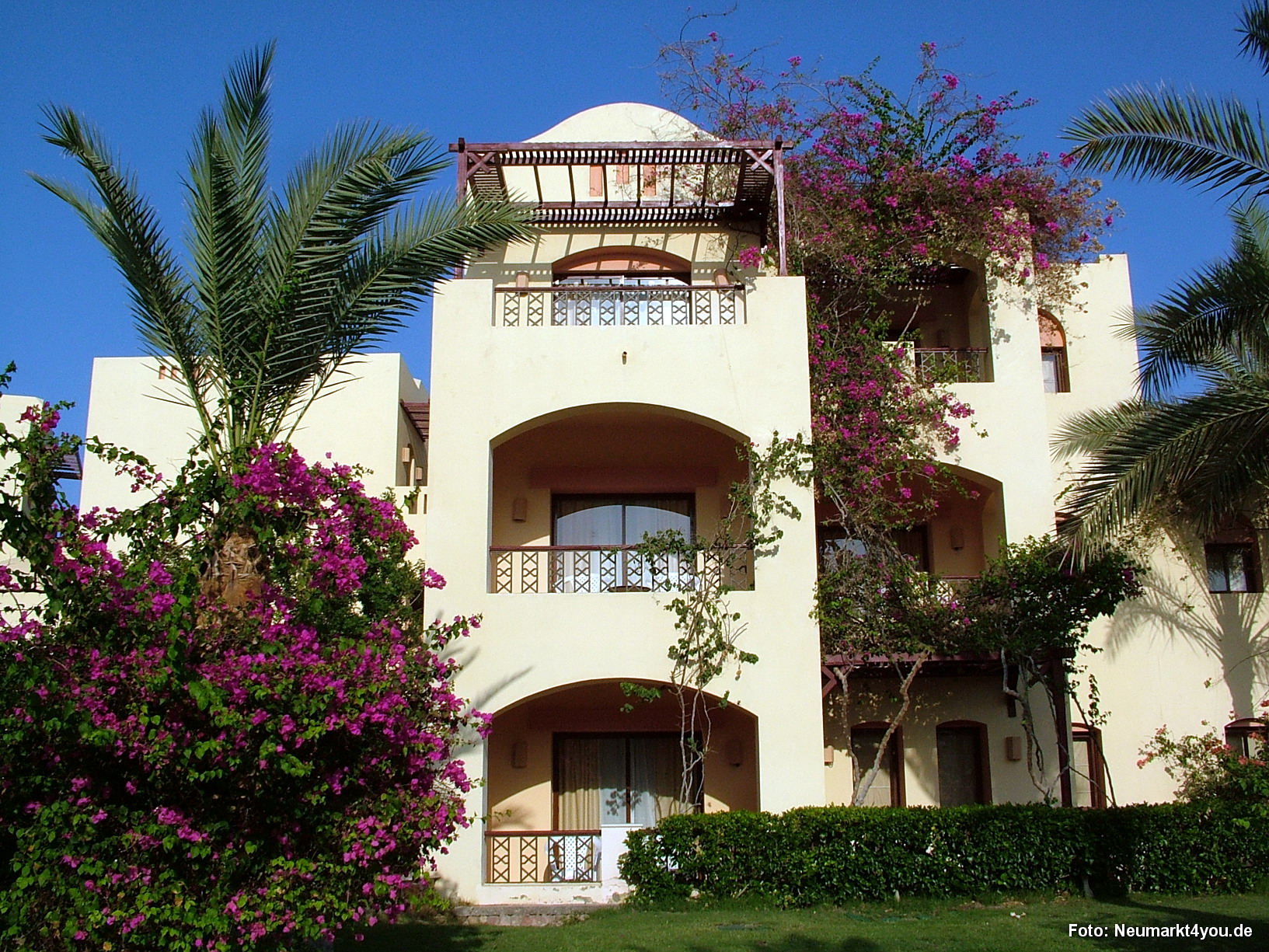 1040 Tauchsafari Ägypten 0906