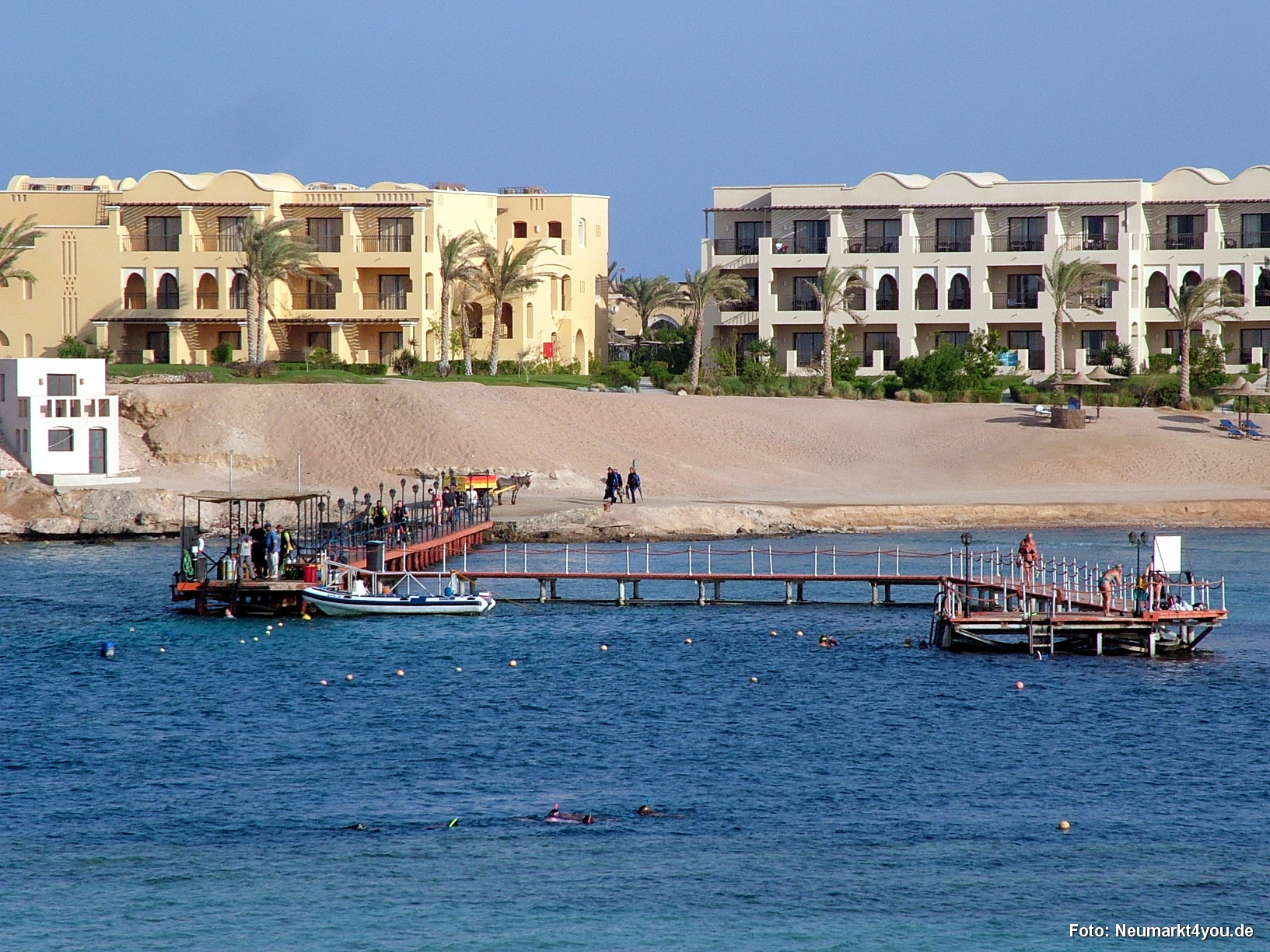 1045 Tauchsafari Ägypten 0906