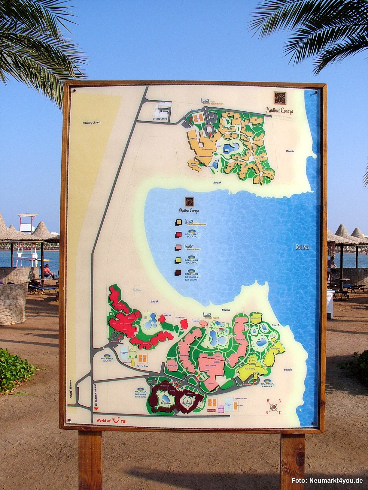 1075 Tauchsafari Ägypten 0906