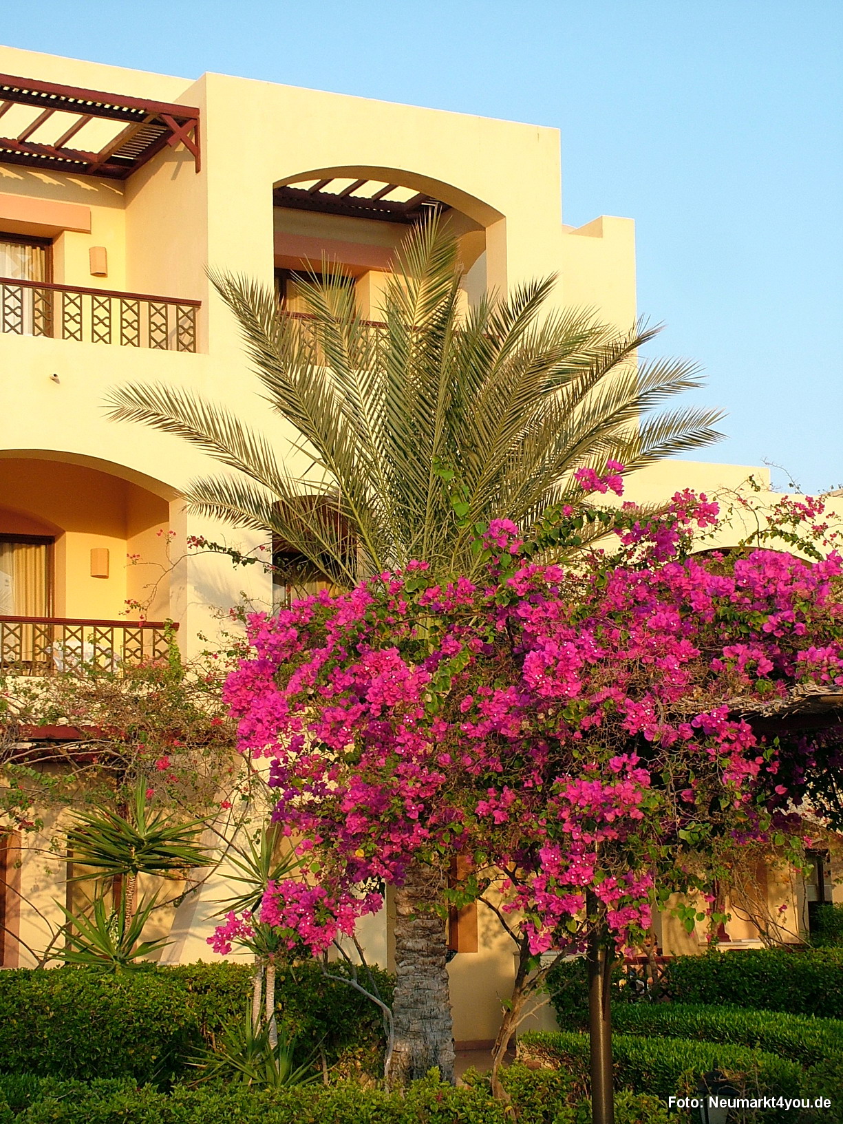 1105 Tauchsafari Ägypten 0906