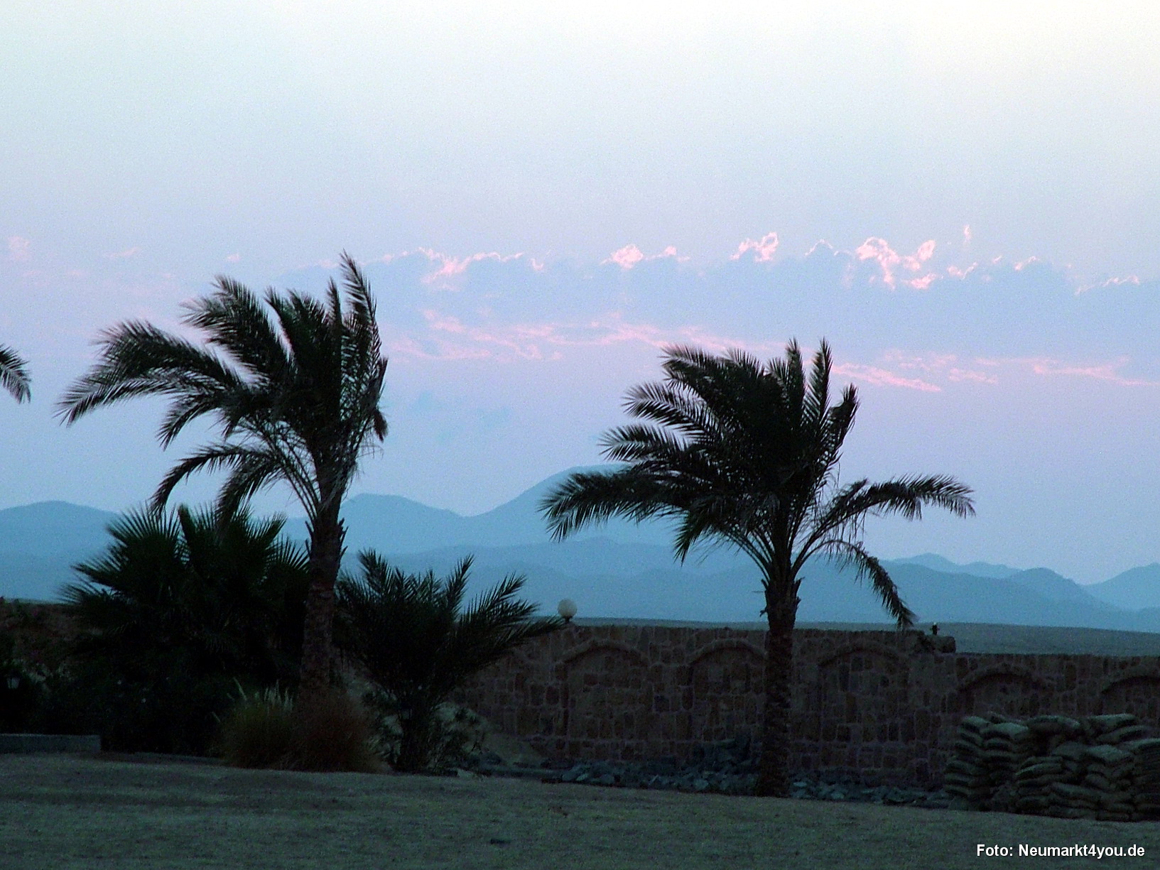 1125 Tauchsafari Ägypten 0906