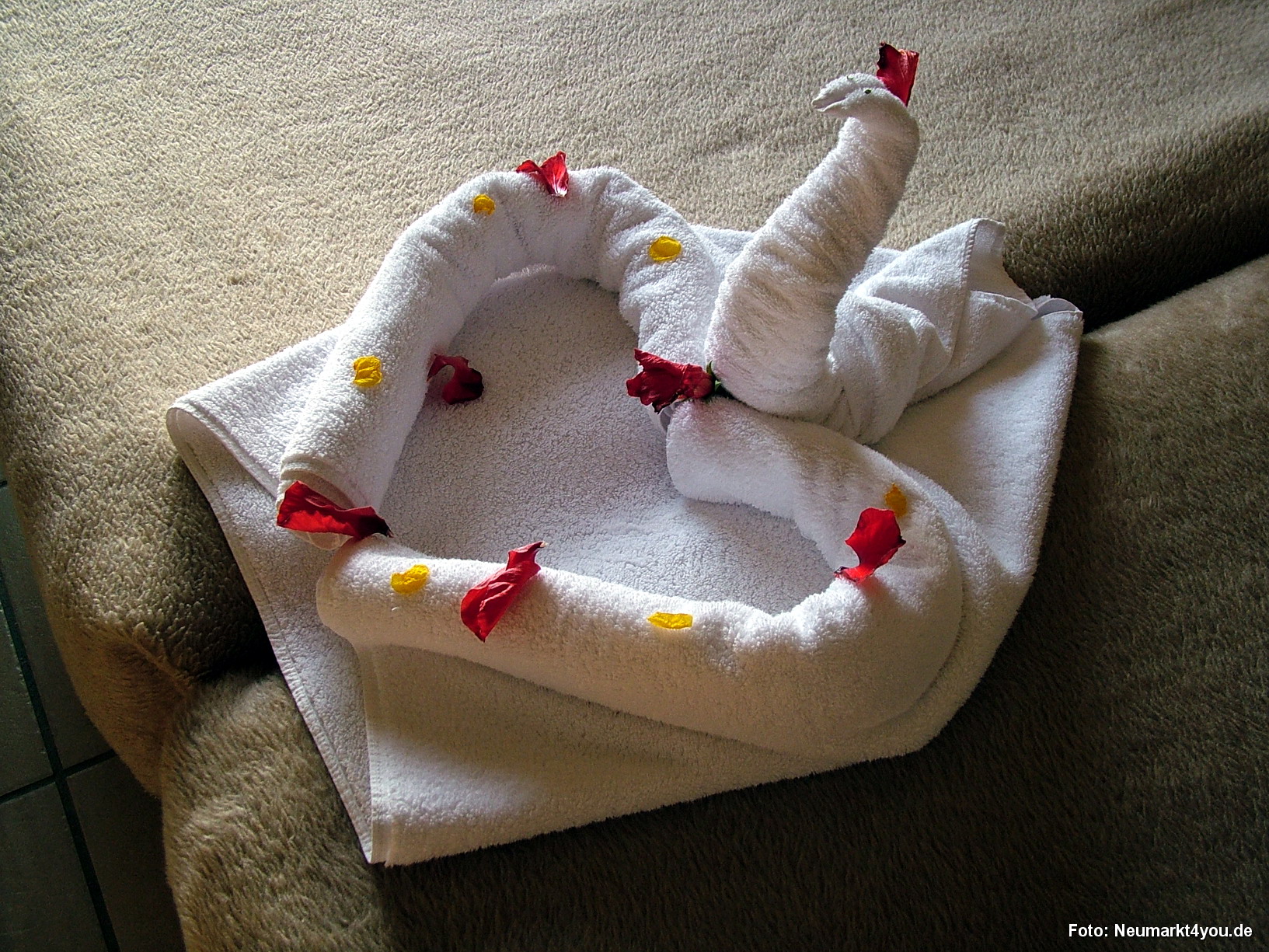 2008 Aegypten Marsa Alam Im Juni