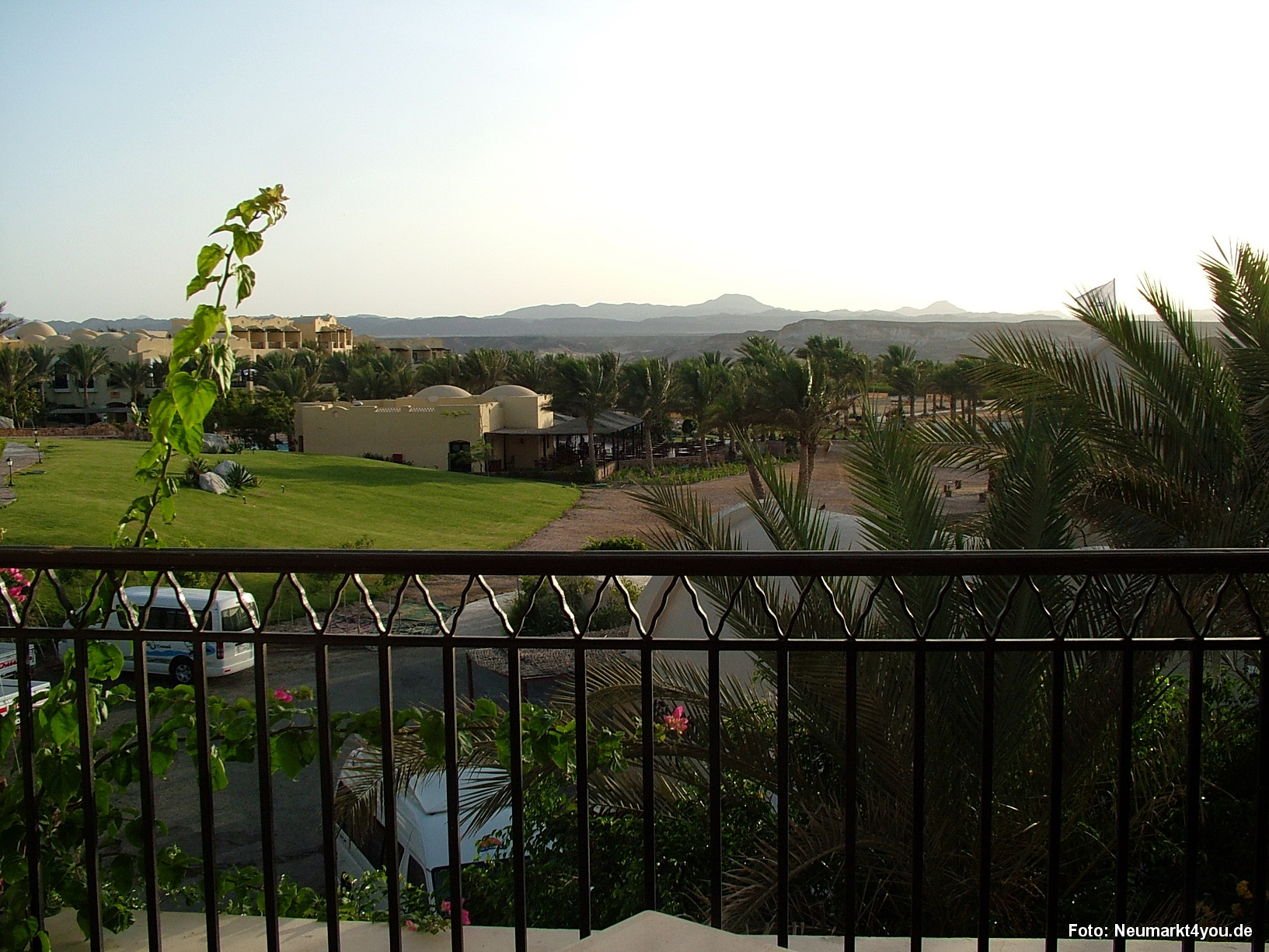 0002 Marsa Alam Juni 2008