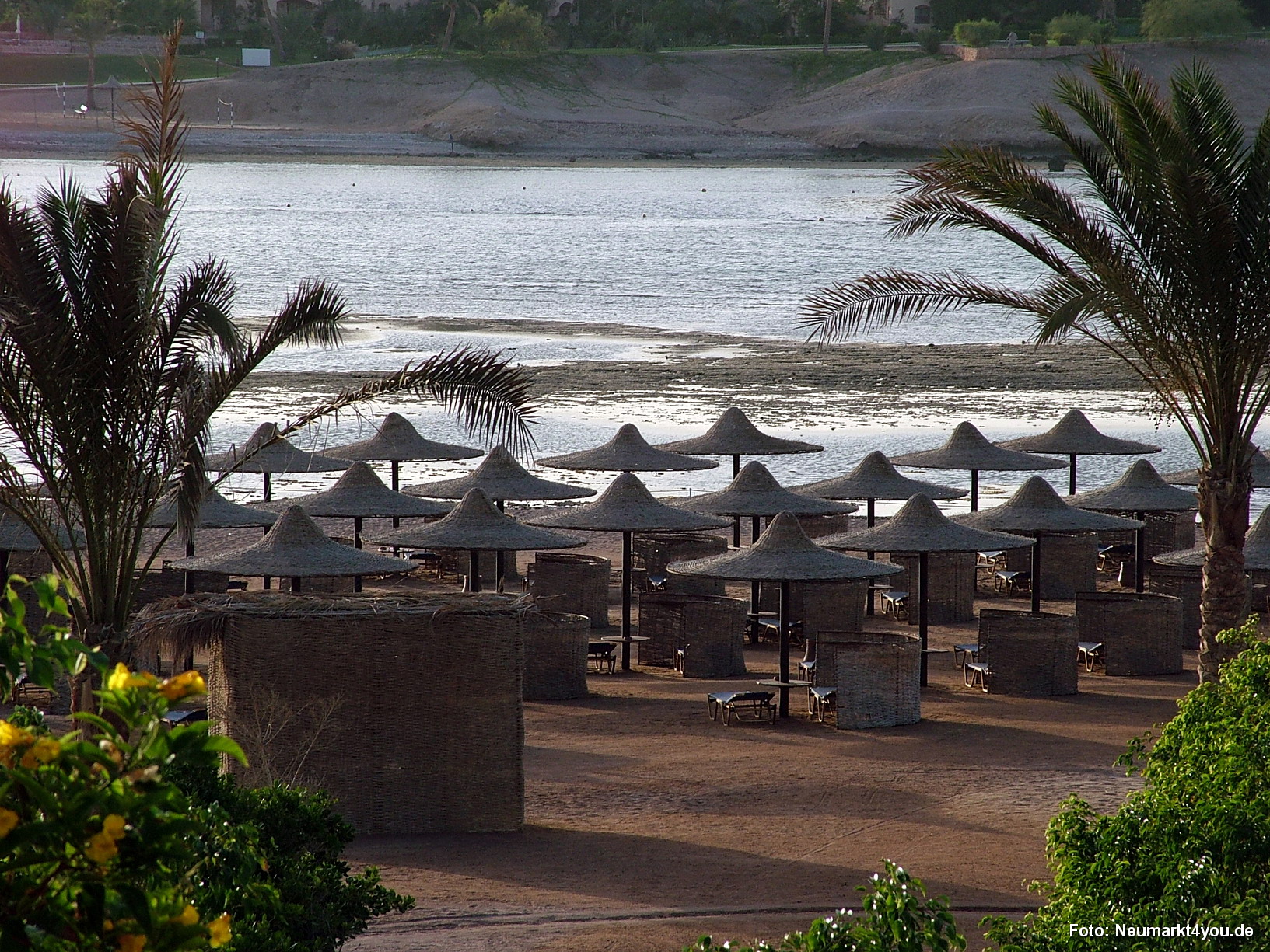 0004 Marsa Alam Juni 2008