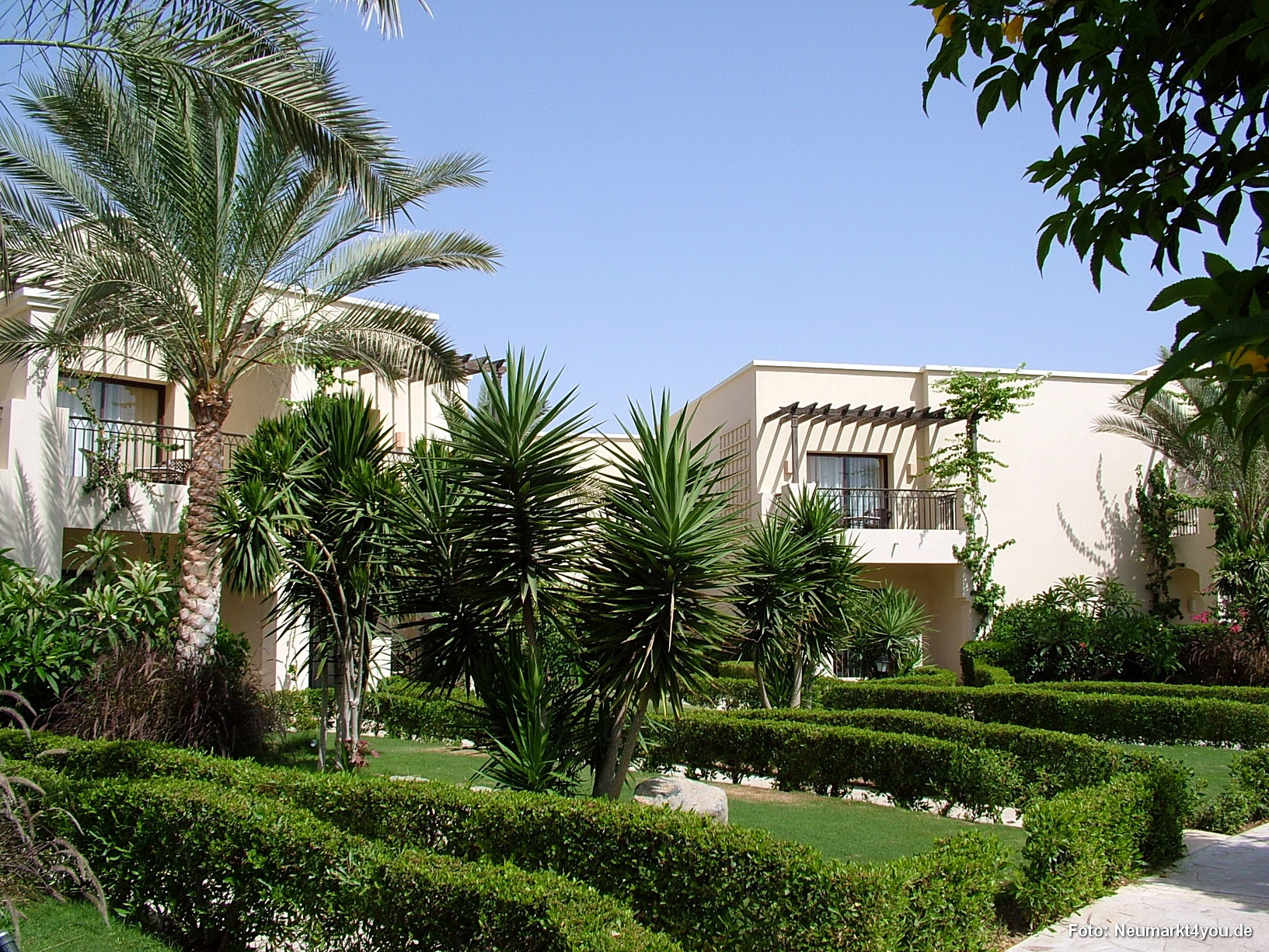 0019 Marsa Alam Juni 2008