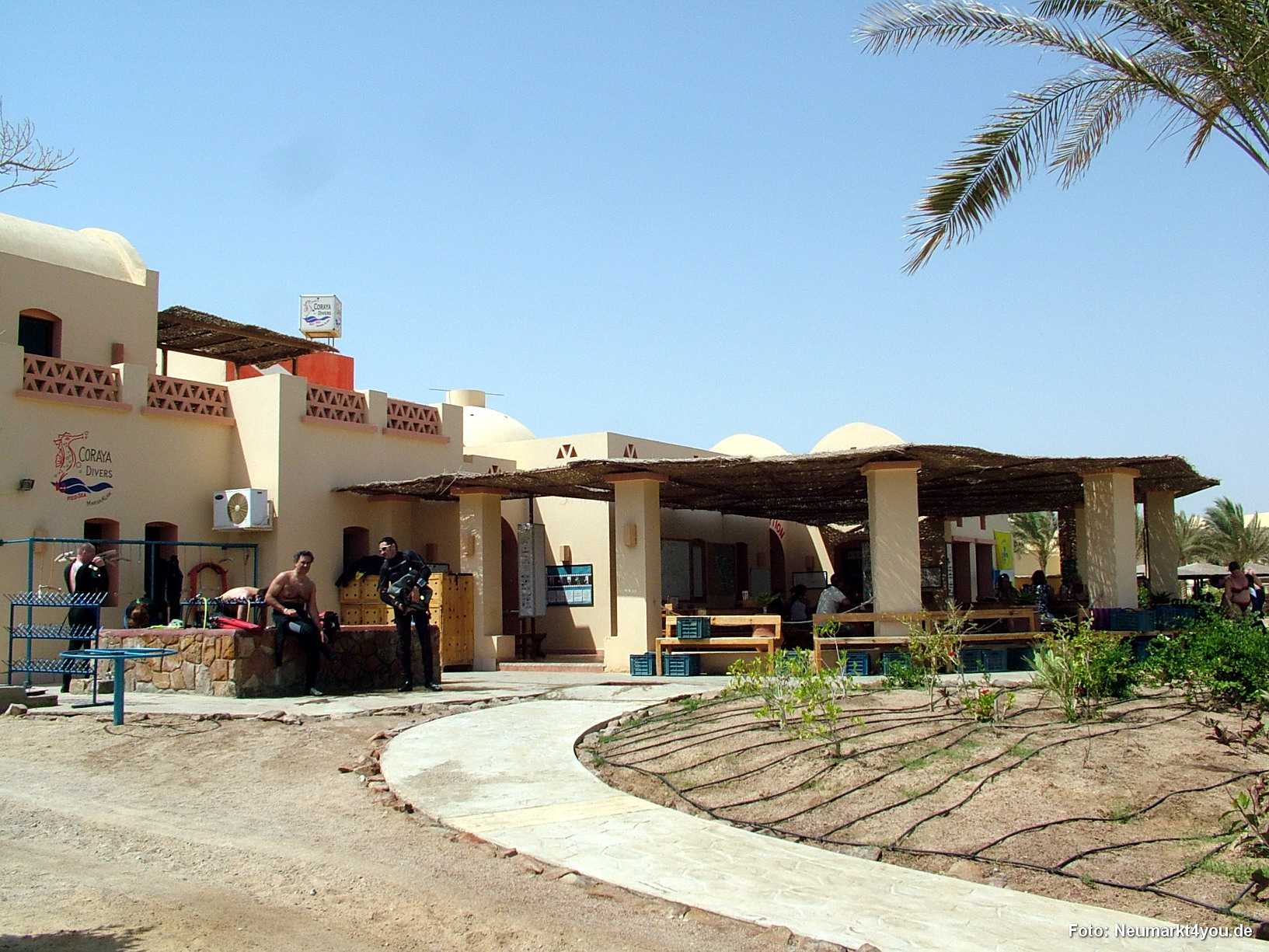 0021 Marsa Alam Juni 2008