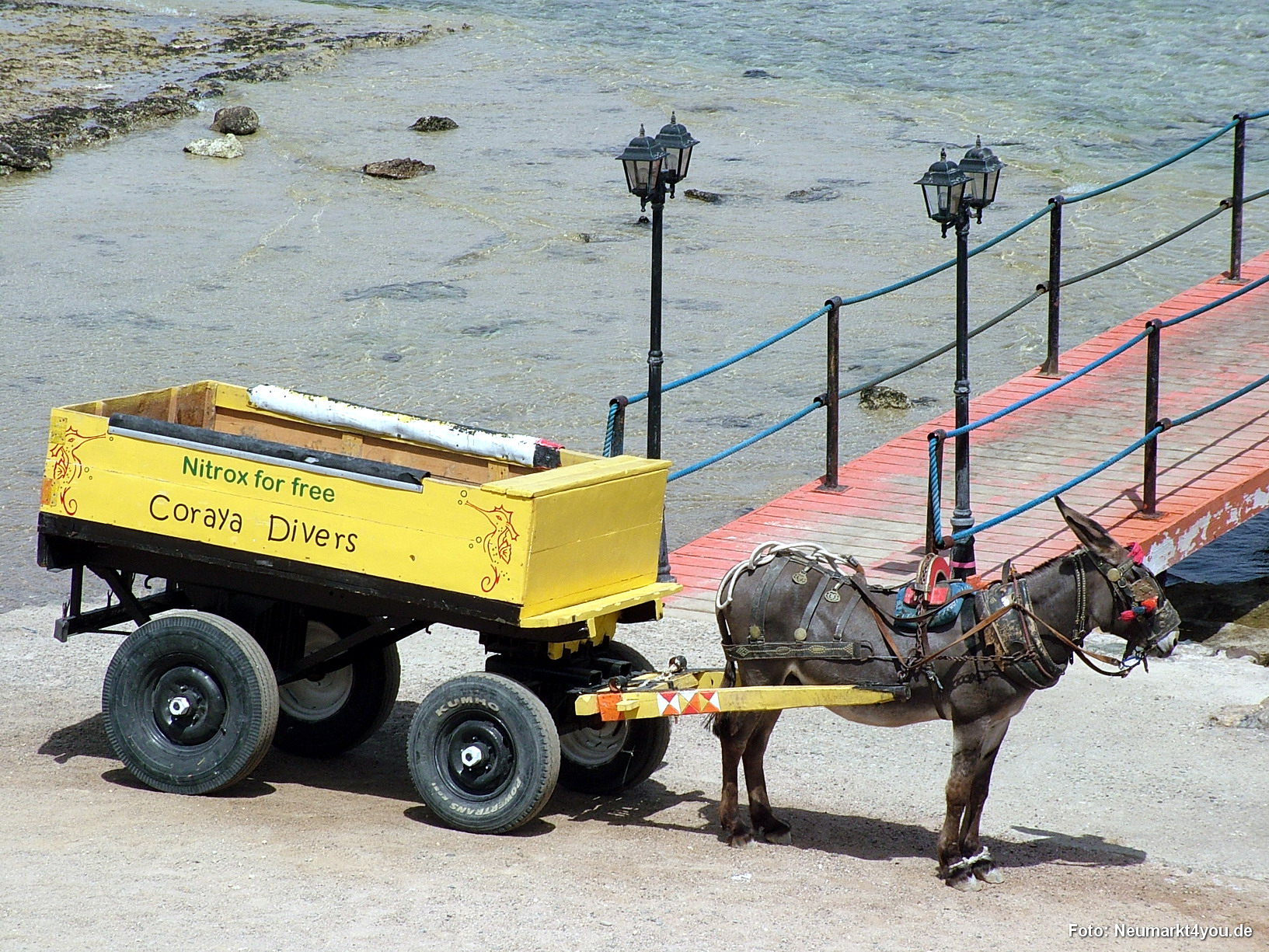 0022 Marsa Alam Juni 2008