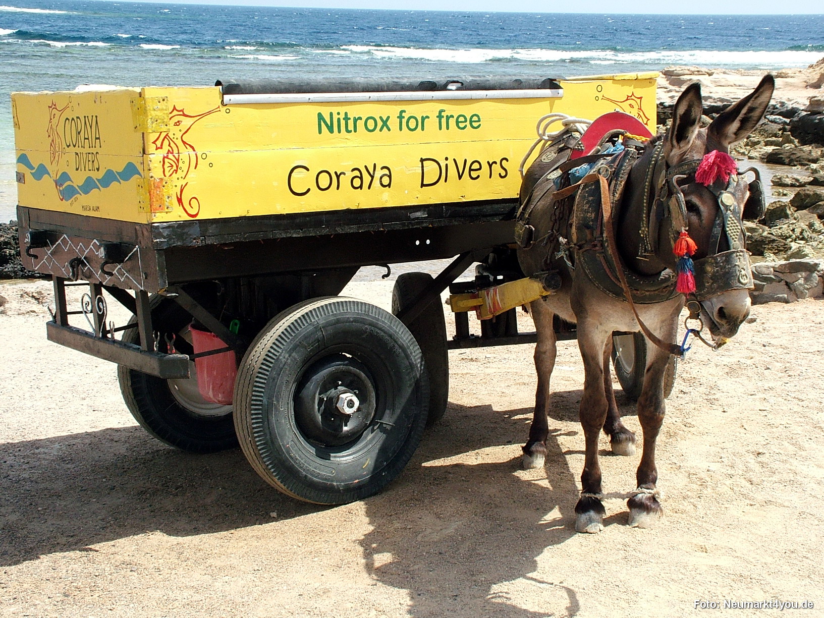 0026 Marsa Alam Juni 2008