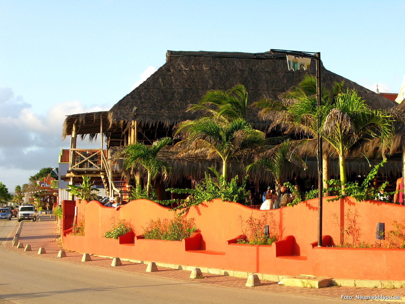 0112 Peter Karneval Bonaire 2009