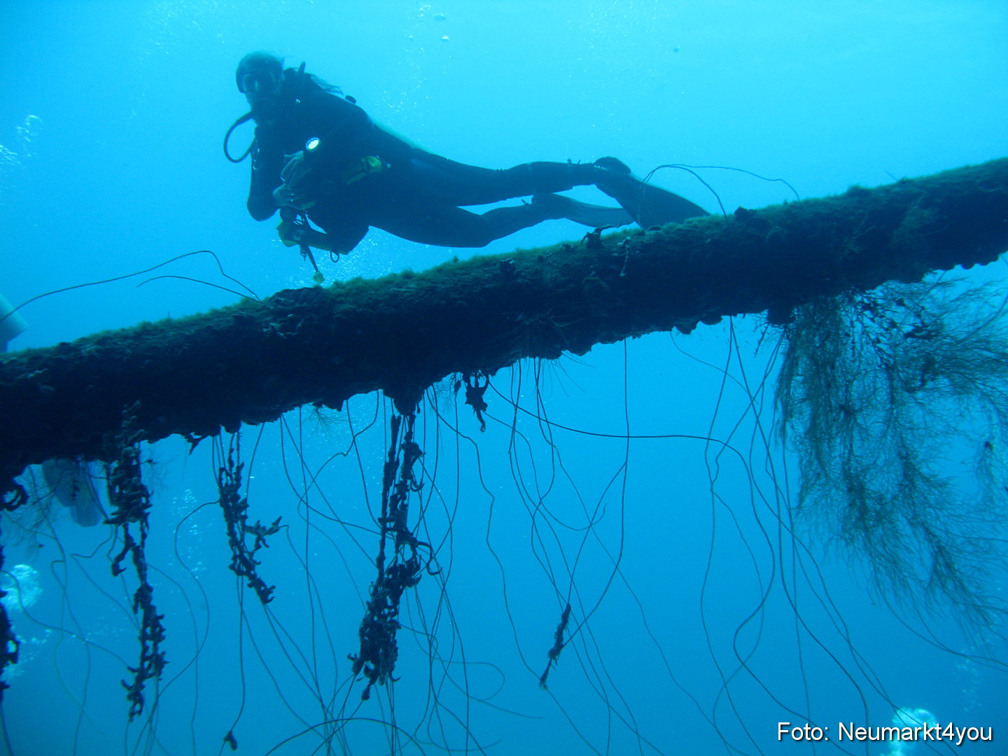 0020 Peter Bonaire Unterwasser 2009