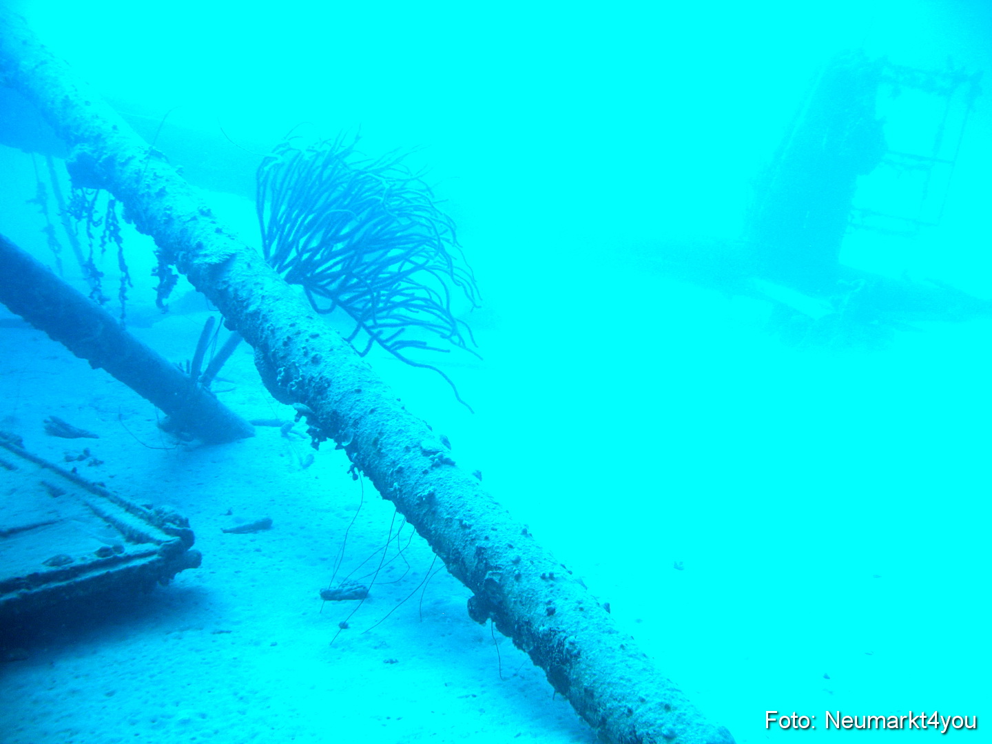 0132 Peter Bonaire Unterwasser 2009