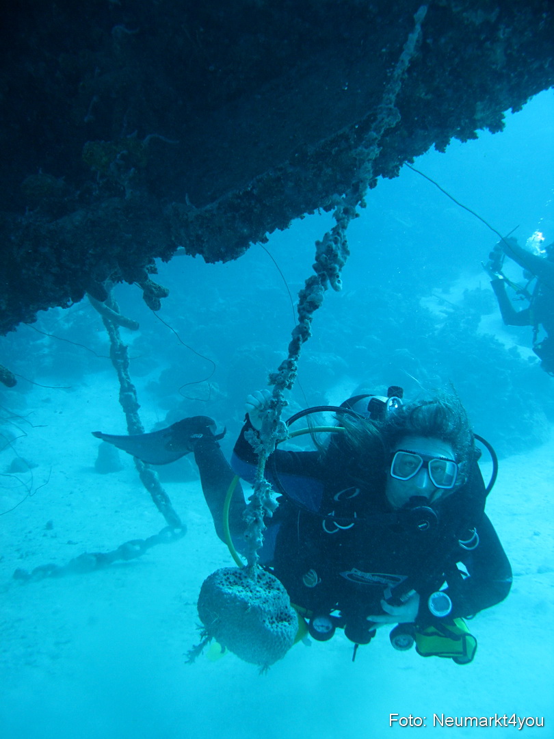 0136 Peter Bonaire Unterwasser 2009