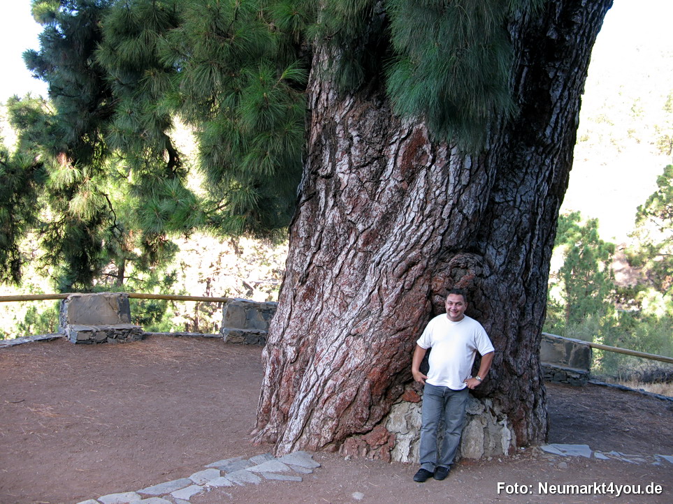 0185 Teneriffa Oktober 2009