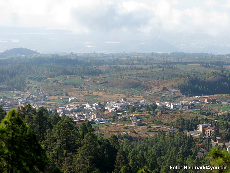 0187 Teneriffa Oktober 2009