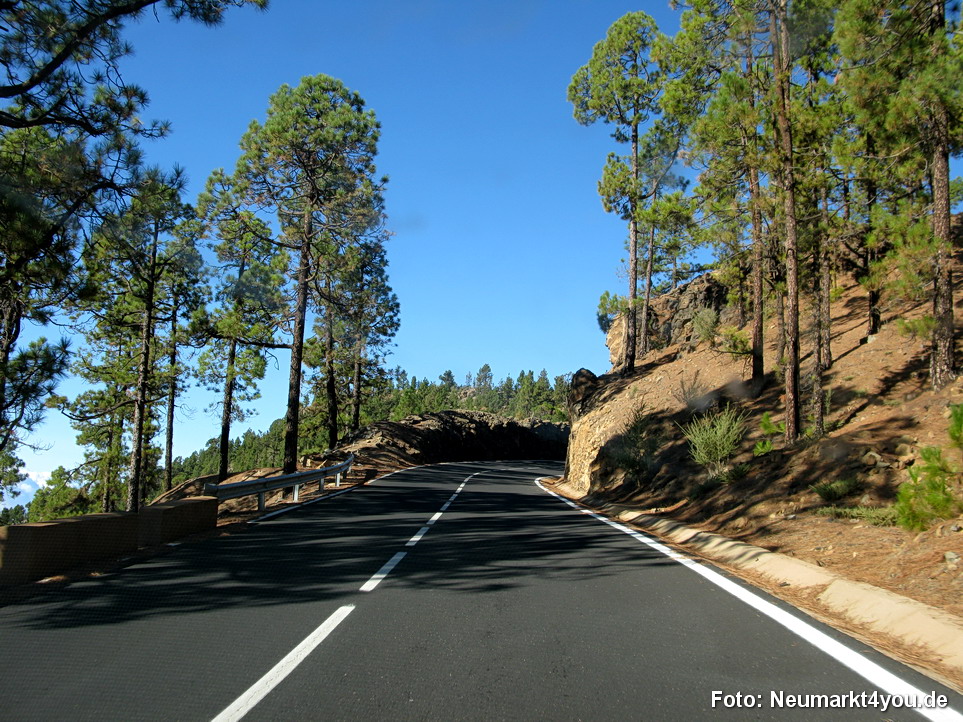 0191 Teneriffa Oktober 2009