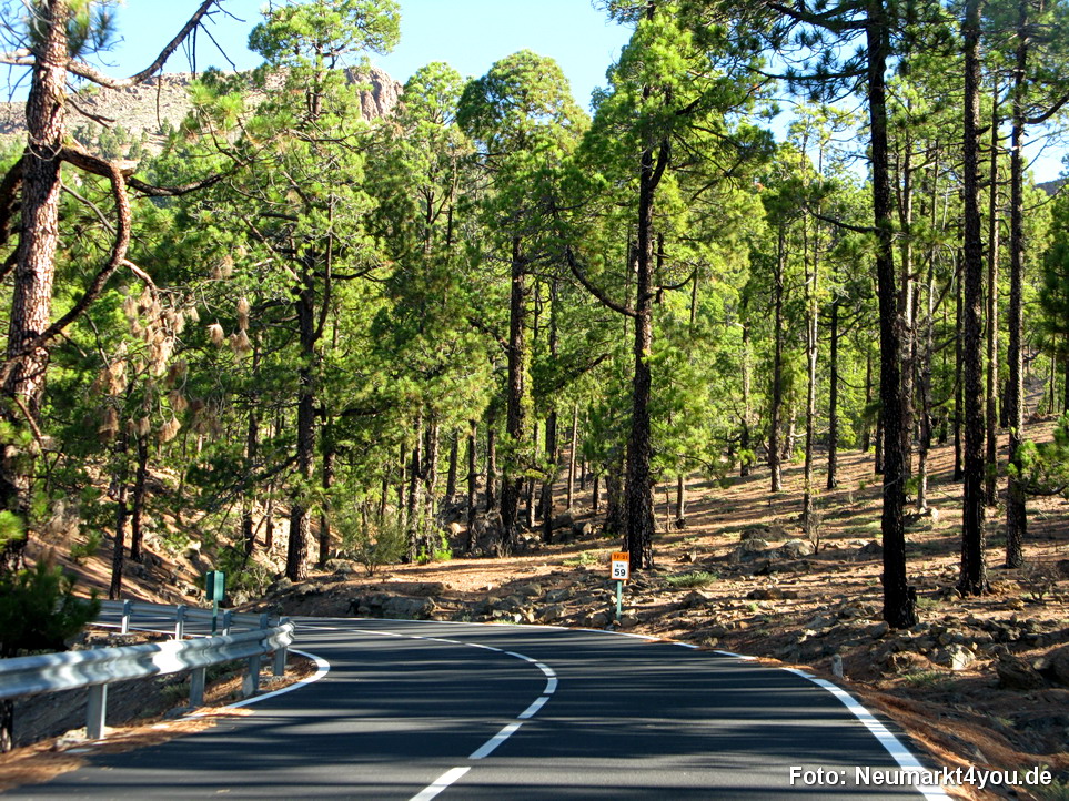 0192 Teneriffa Oktober 2009