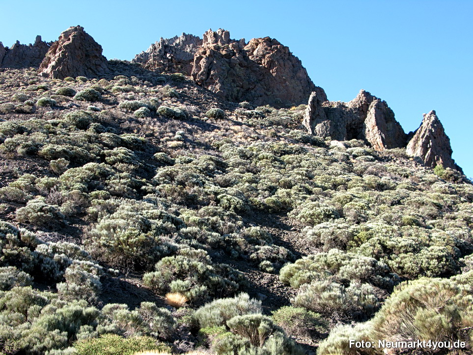 0204 Teneriffa Oktober 2009