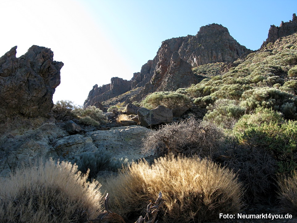 0208 Teneriffa Oktober 2009