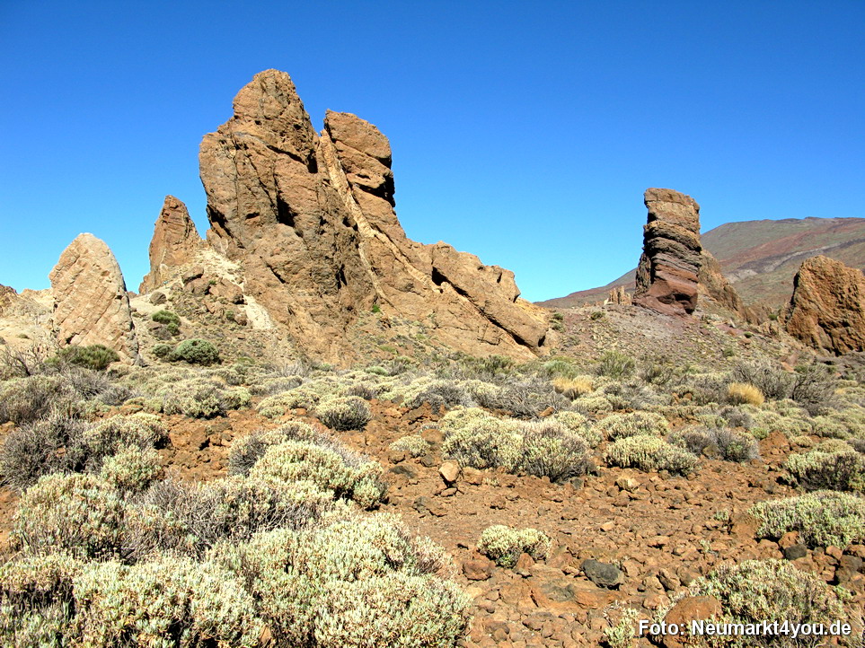 0228 Teneriffa Oktober 2009