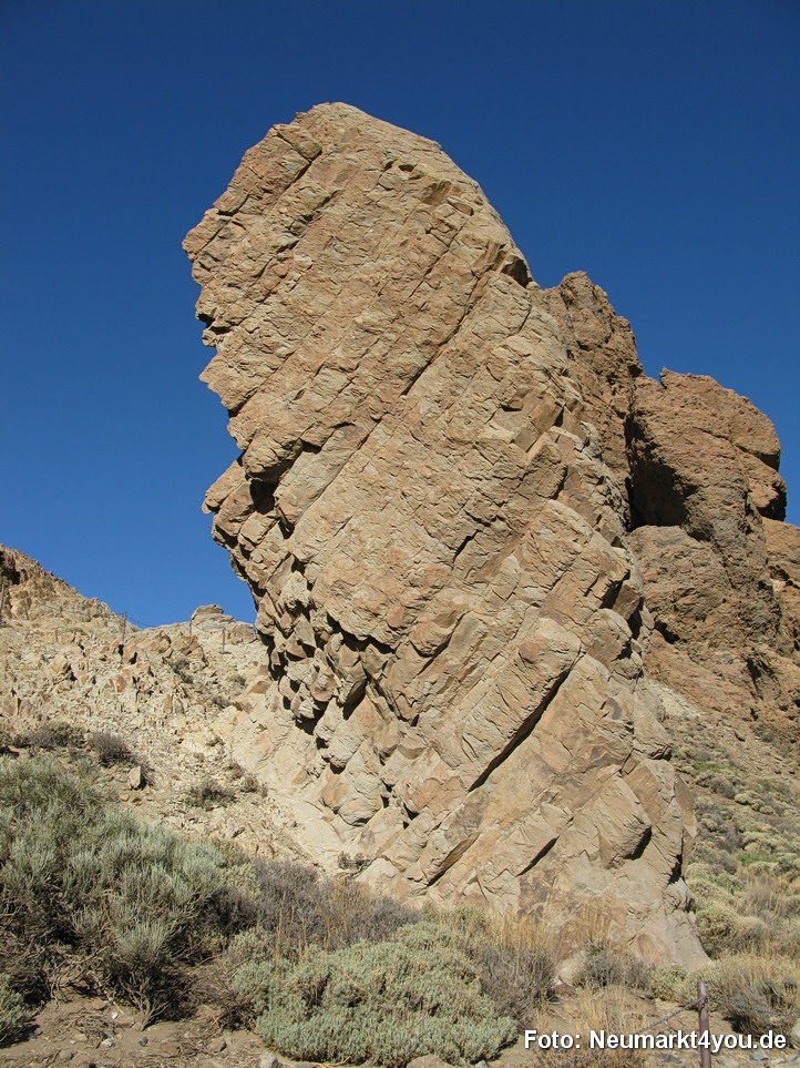 0235 Teneriffa Oktober 2009