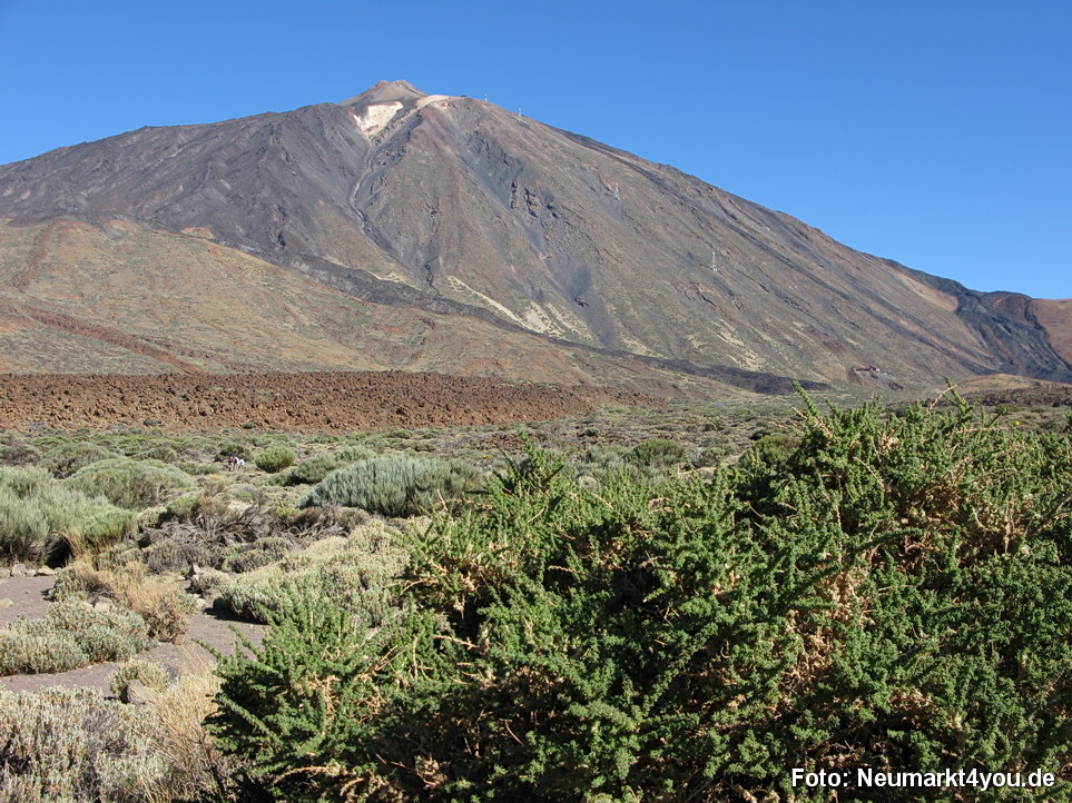 0242 Teneriffa Oktober 2009