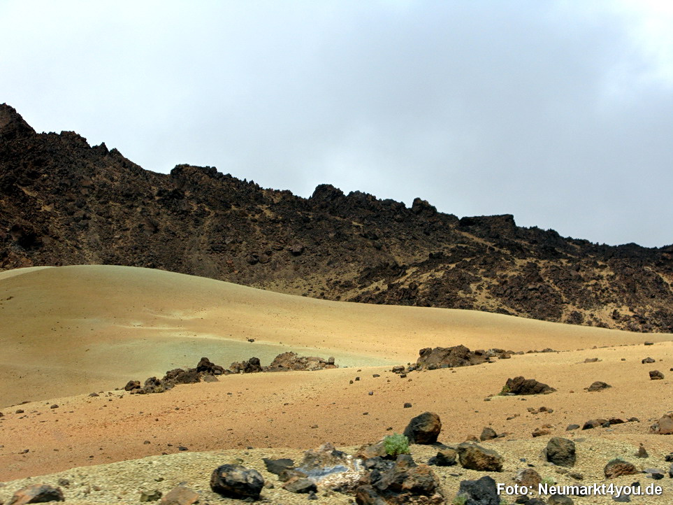 0302 Teneriffa Oktober 2009