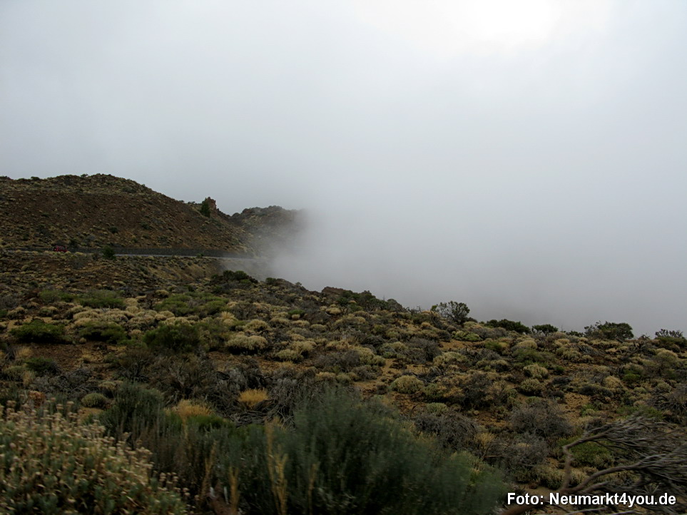 0314 Teneriffa Oktober 2009