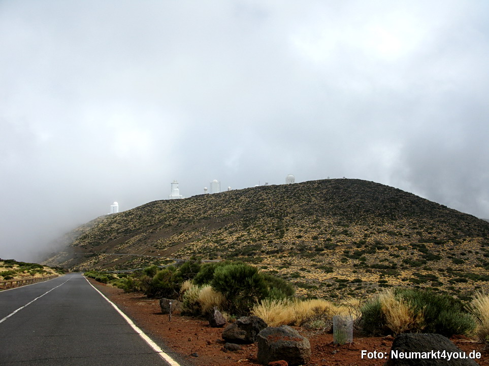 0317 Teneriffa Oktober 2009