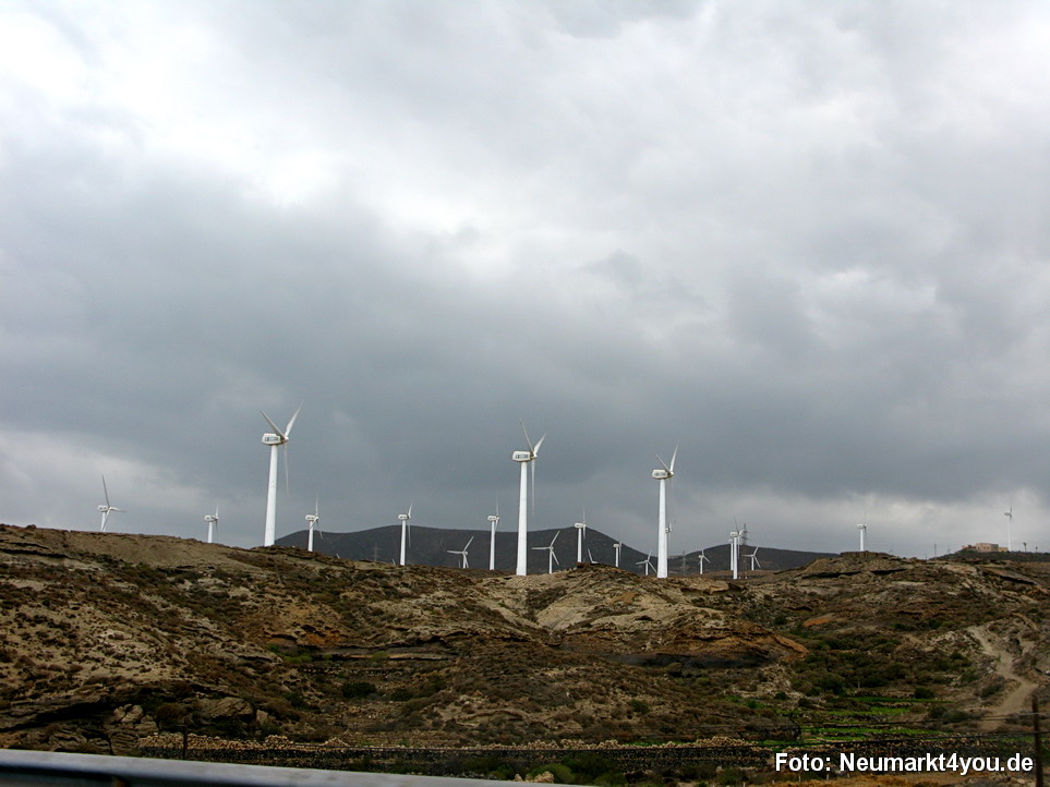 0334 Teneriffa Oktober 2009