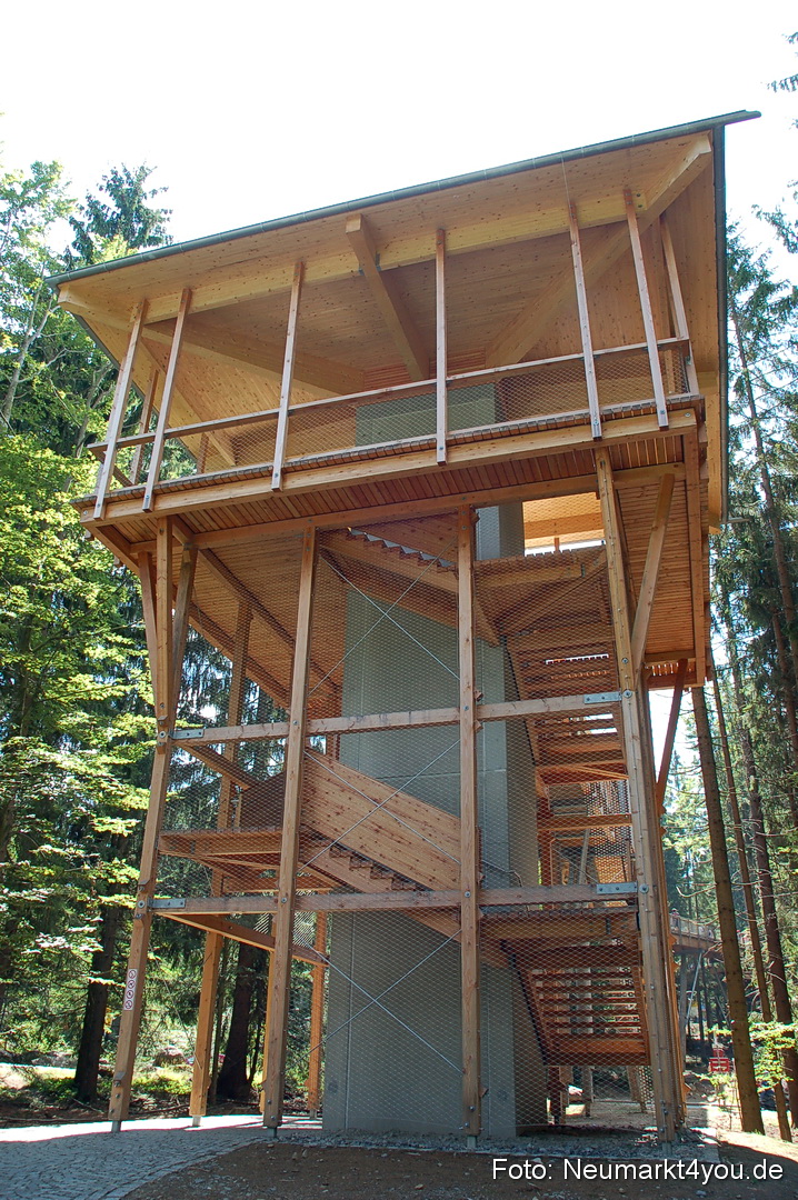 2010 Baumwipfelpfad Bayerischer Wald