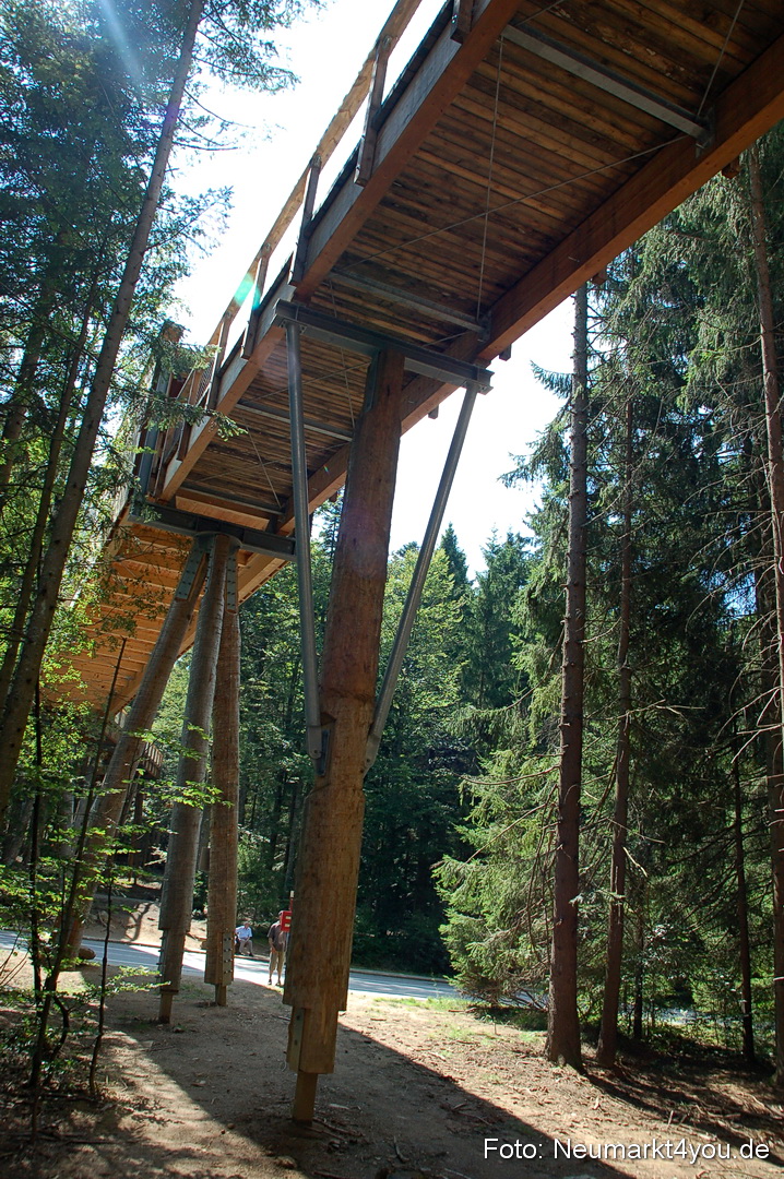 Baumwipfelpfad 210810 0002