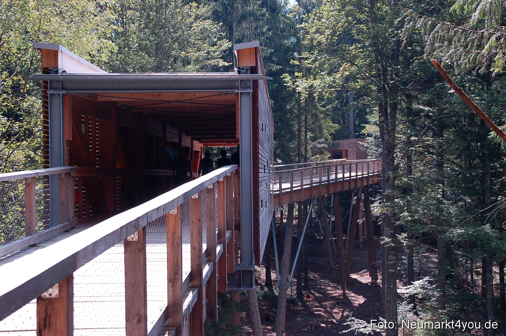 Baumwipfelpfad 210810 0003