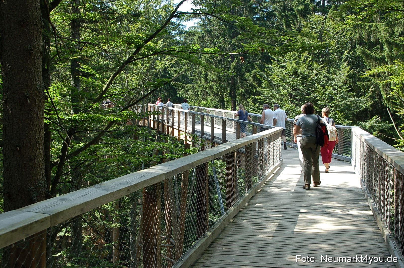 Baumwipfelpfad 210810 0005