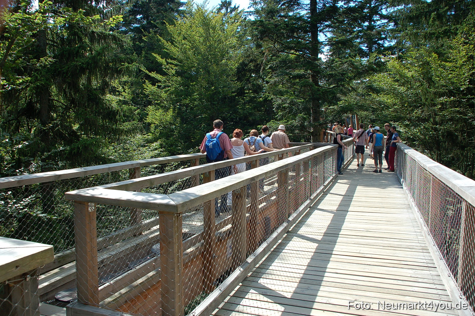 Baumwipfelpfad 210810 0006