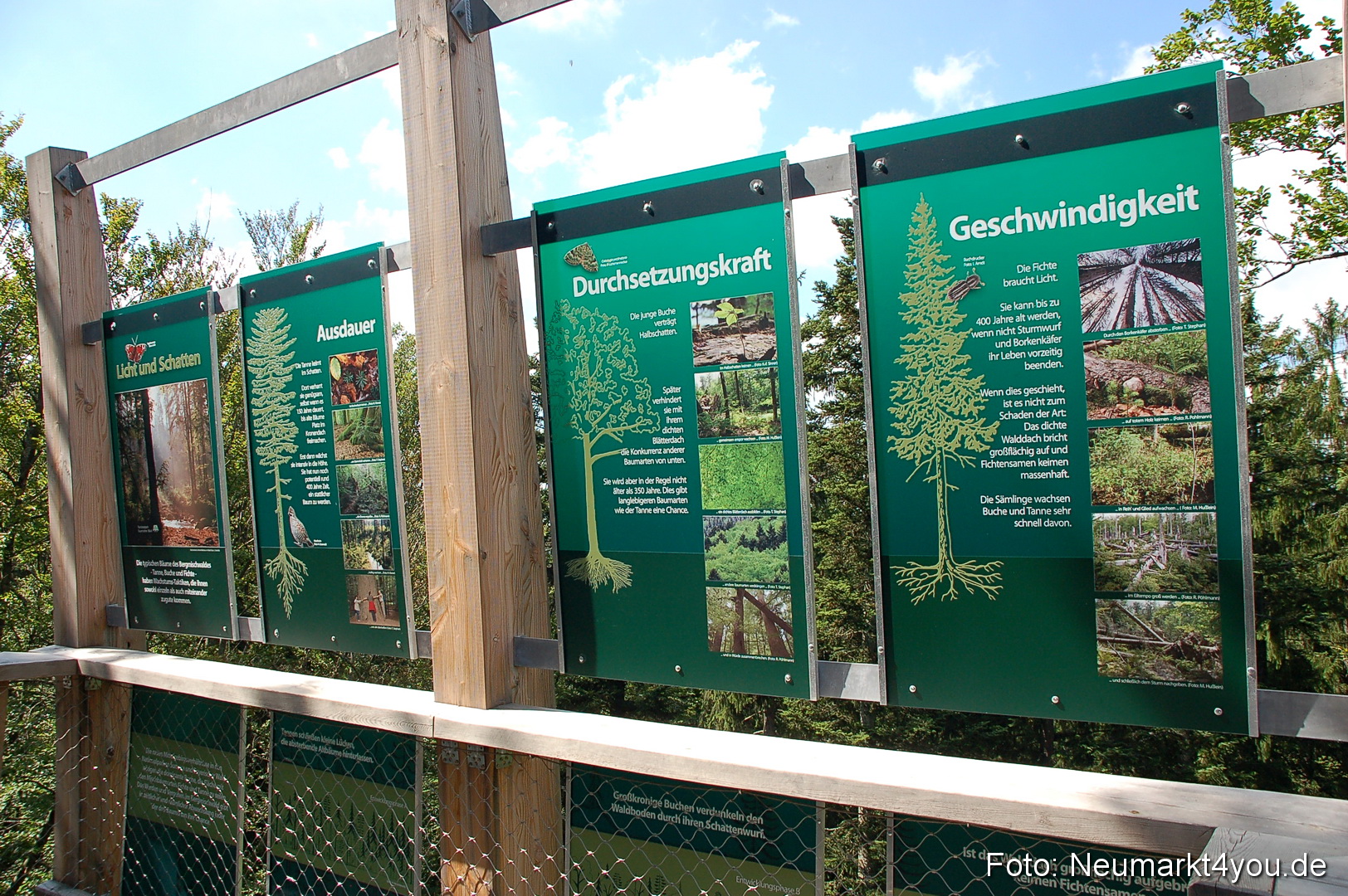 Baumwipfelpfad 210810 0008