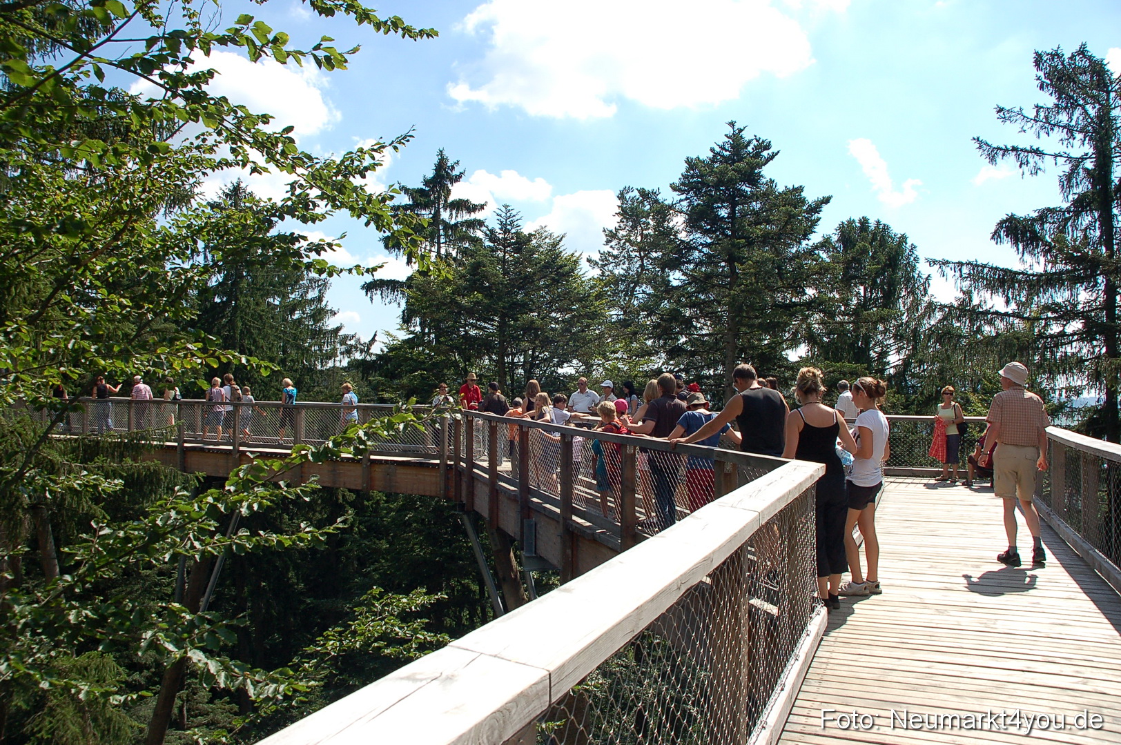 Baumwipfelpfad 210810 0011