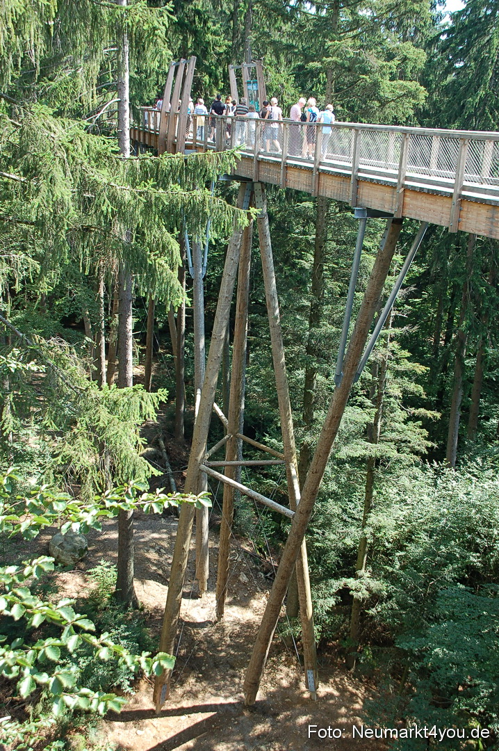 Baumwipfelpfad 210810 0012