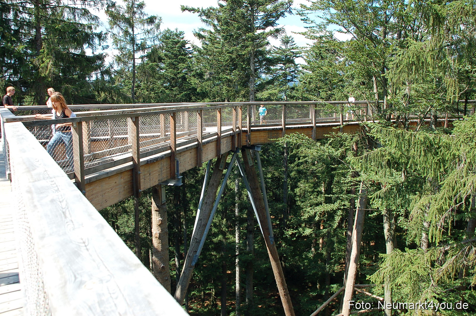 Baumwipfelpfad 210810 0013