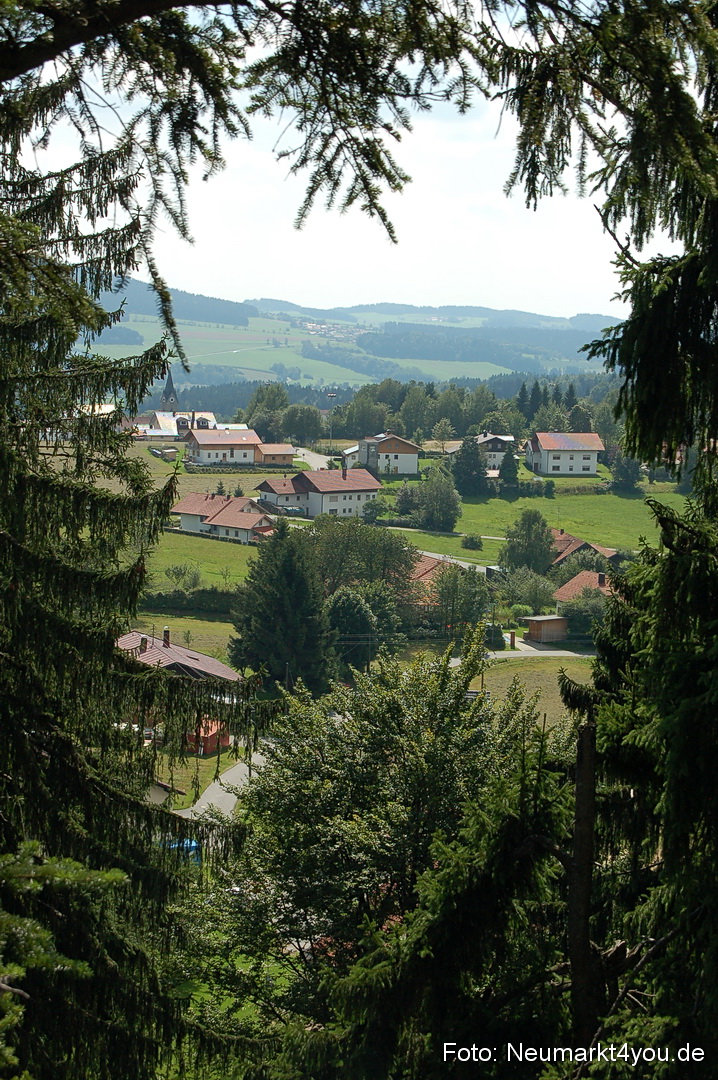 Baumwipfelpfad 210810 0014