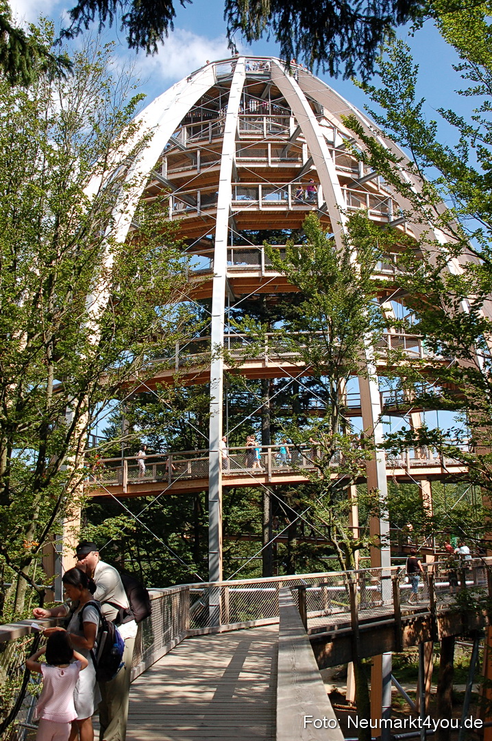Baumwipfelpfad 210810 0016
