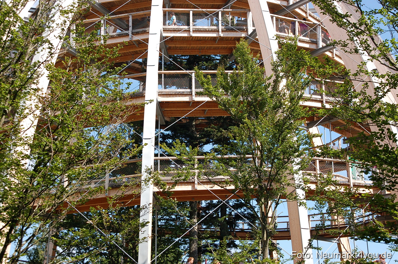 Baumwipfelpfad 210810 0017