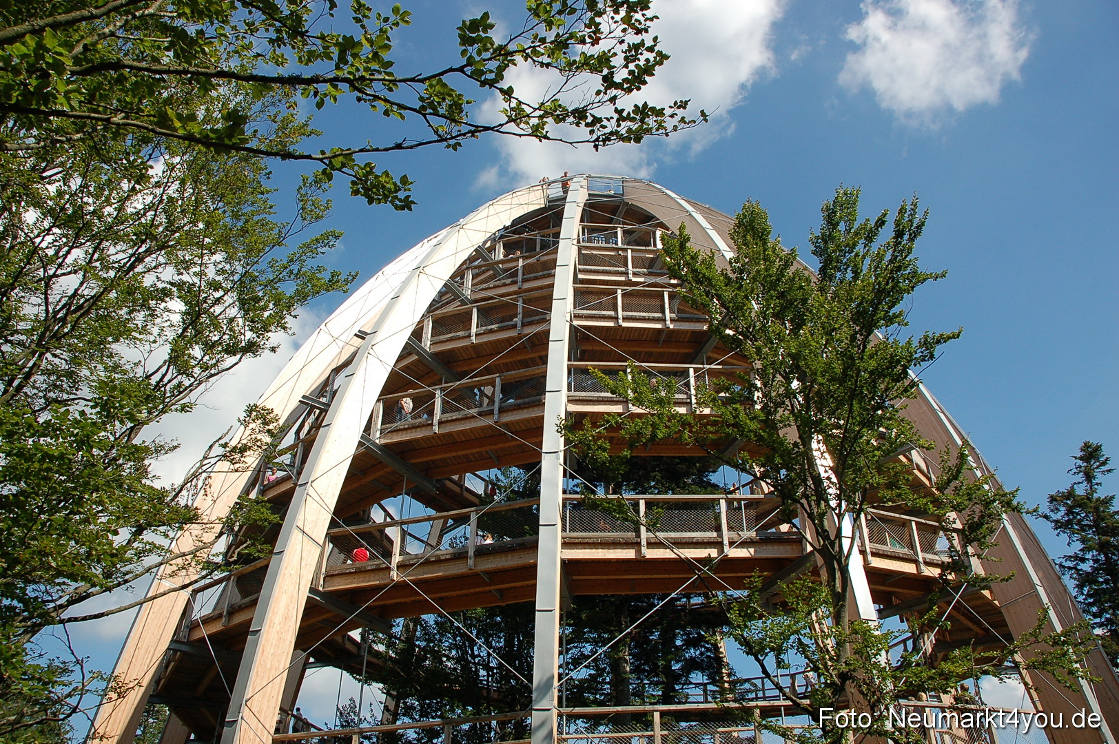 Baumwipfelpfad 210810 0021