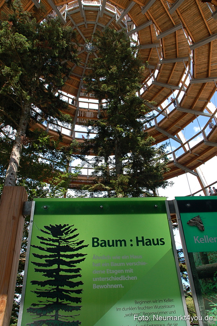 Baumwipfelpfad 210810 0023