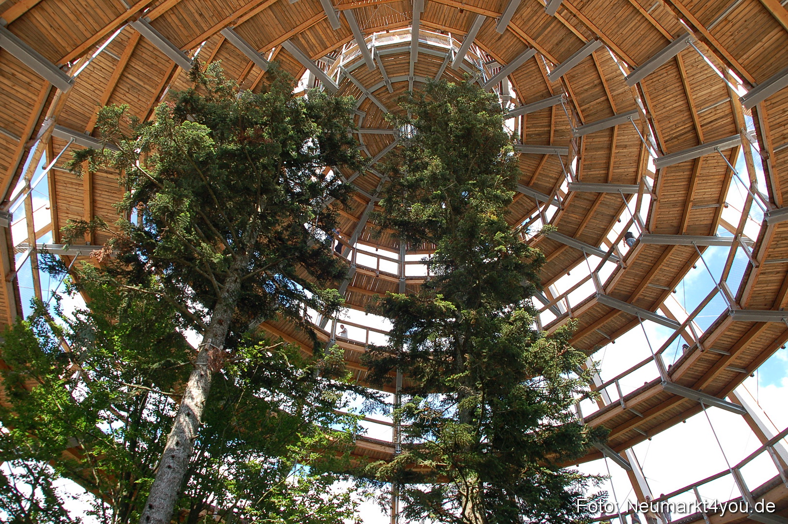 Baumwipfelpfad 210810 0024