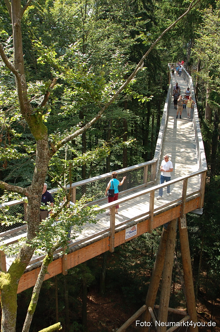 Baumwipfelpfad 210810 0025